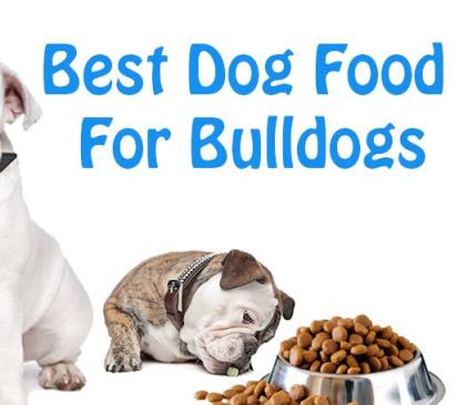 Best Dog Food For Bulldogs: What Every Dog Owner Should Know