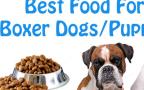 Dog Lovers: Know The Best Dog Foods for Boxer Breed Dogs/Puppies